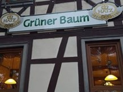 Foto: Gruner Baum